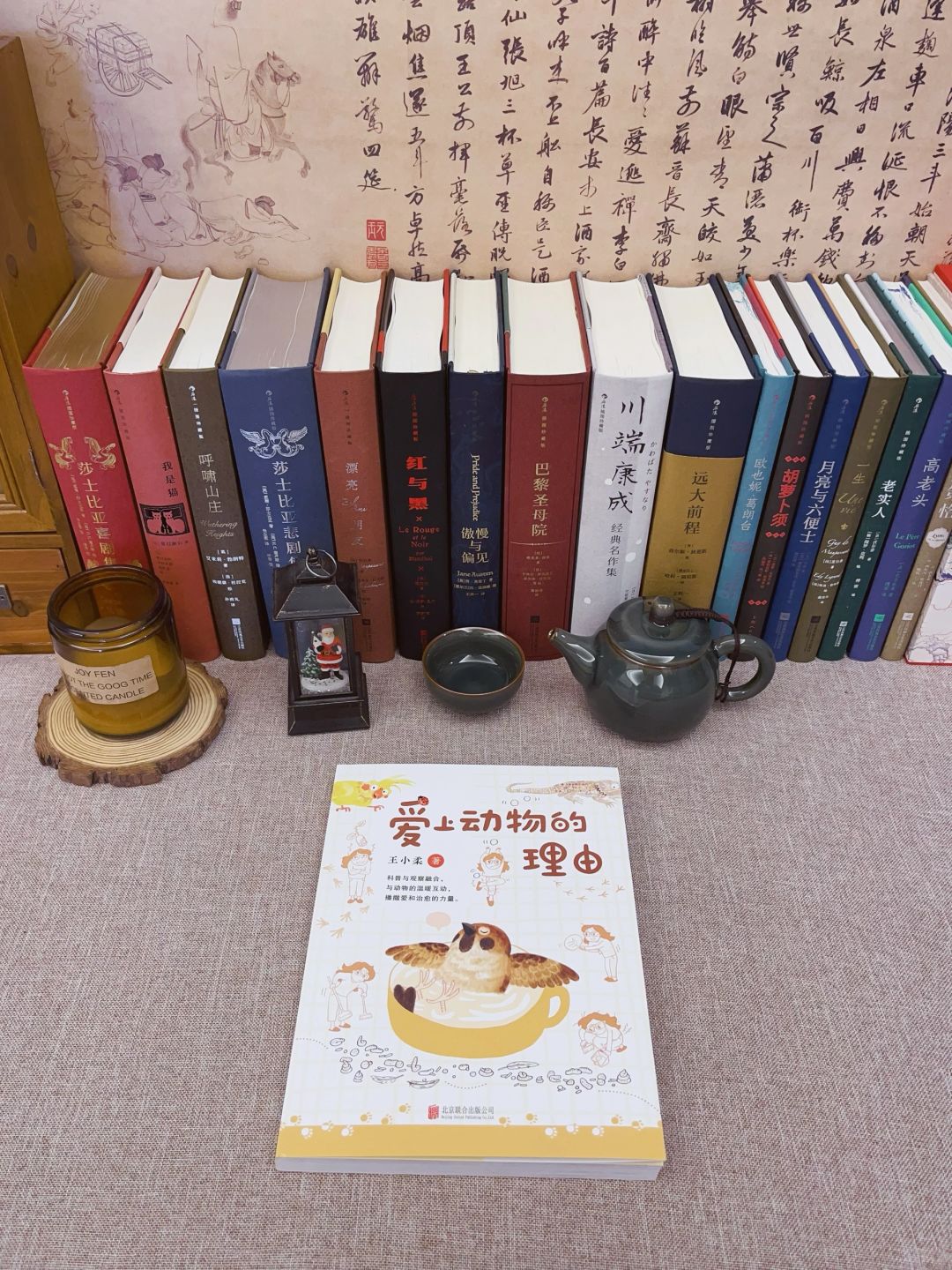 太太太治愈了❗️翻开第一页就彻底沦陷了！