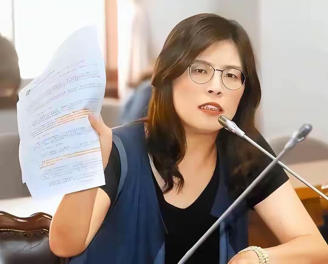 敢帮台独搞清算的人真能逍遥法外吗

台湾检察官陈舒怡专门针对支持统一的人下手，手