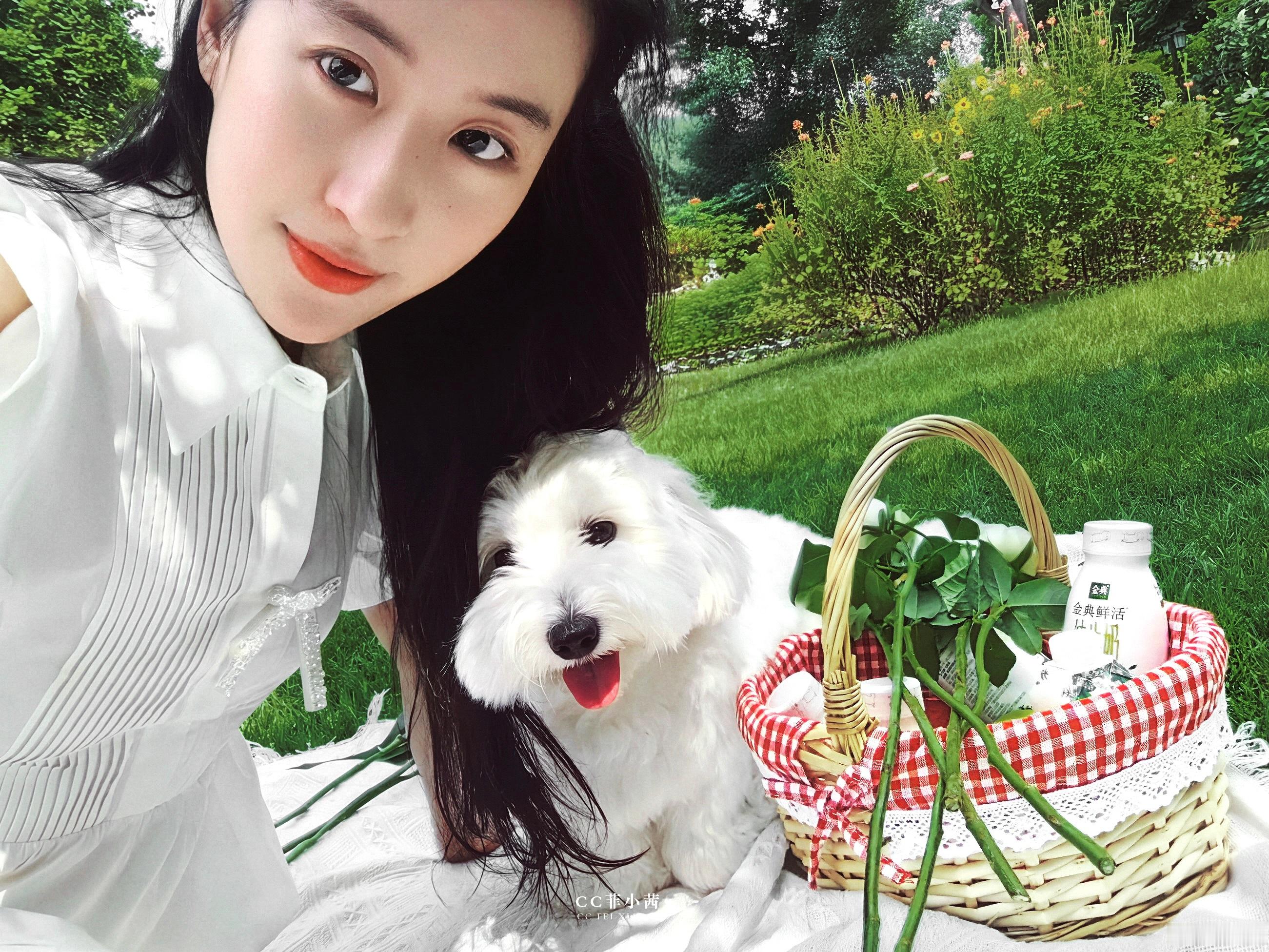 ▷ 刘亦菲 × 金典𝐒𝐀𝐓𝐈𝐍𝐄 | 治愈系画面~两个小可爱·刘亦菲