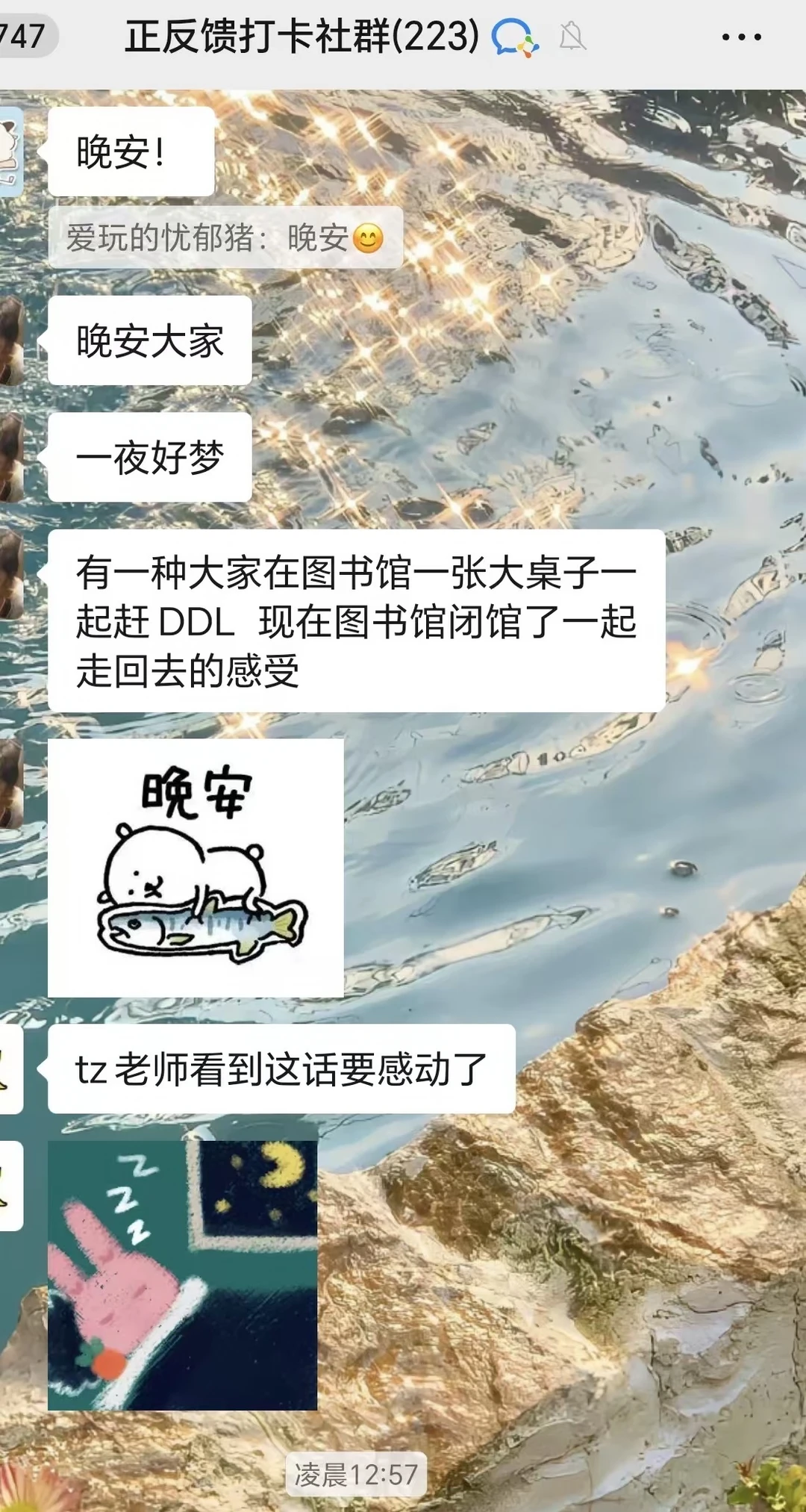 有一种大家在图书馆一张大桌子一起赶DDL