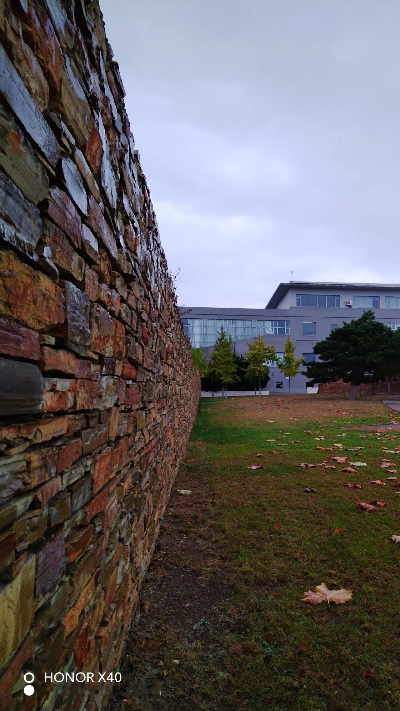 #记录旅游足迹#校园里就有大海的大学，秋日落叶，沙滩礁石海浪，幽静悠美，大连医科