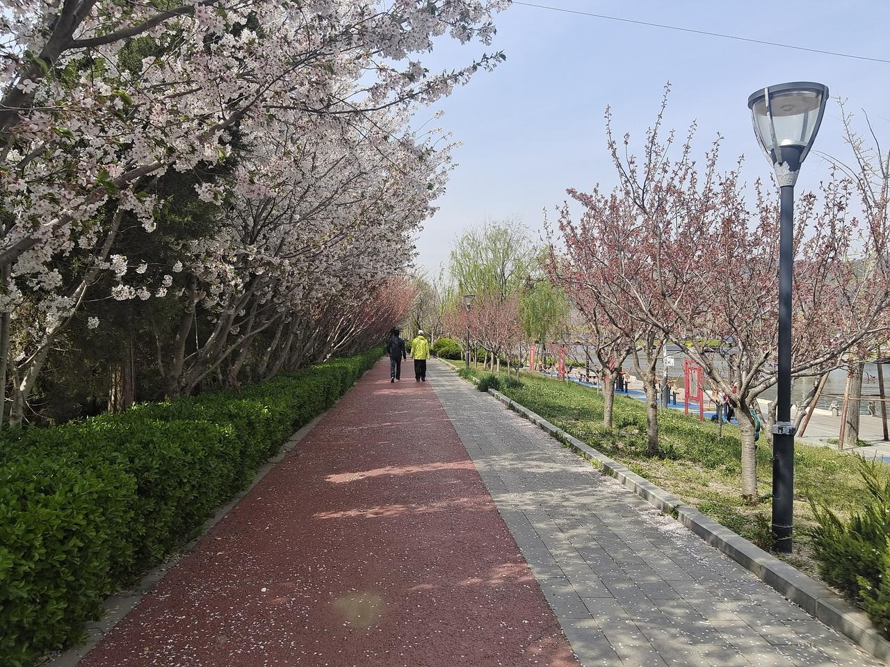 分享您的街拍照