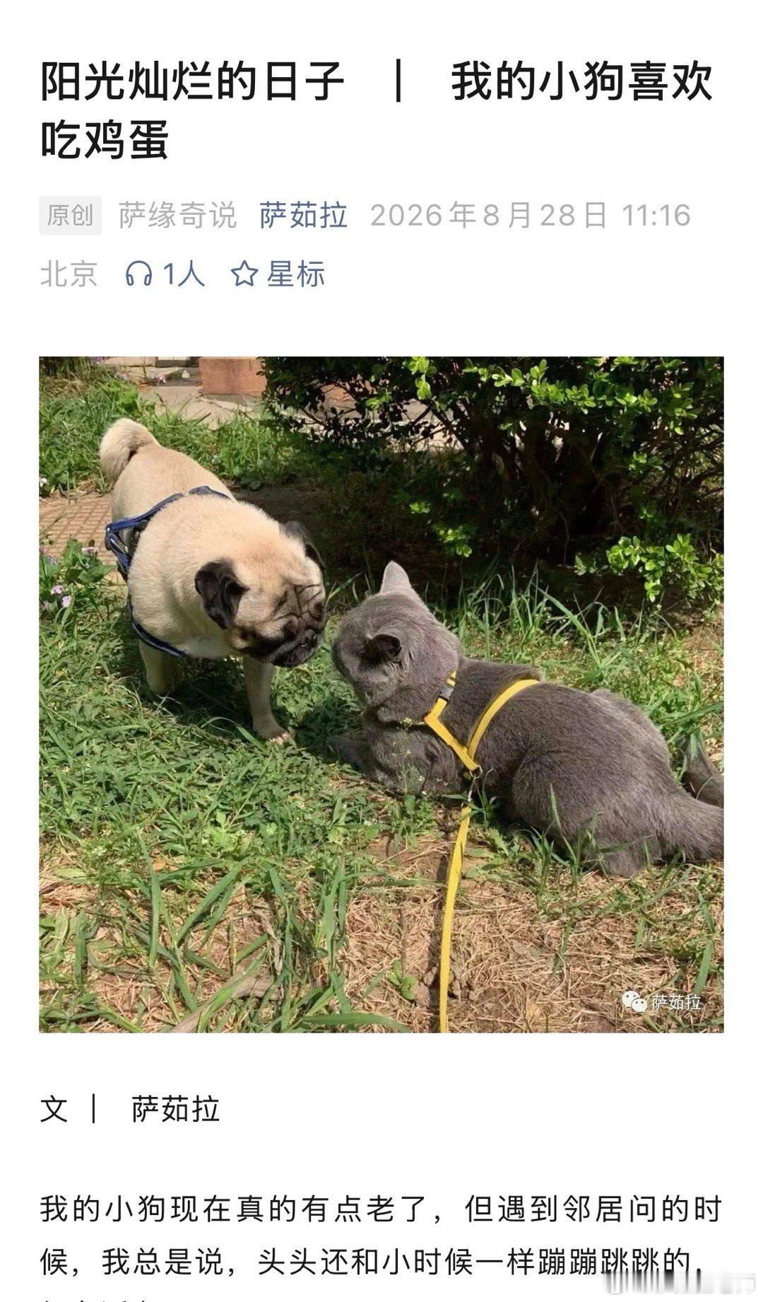 [鲜花][鲜花][鲜花]  ​​​