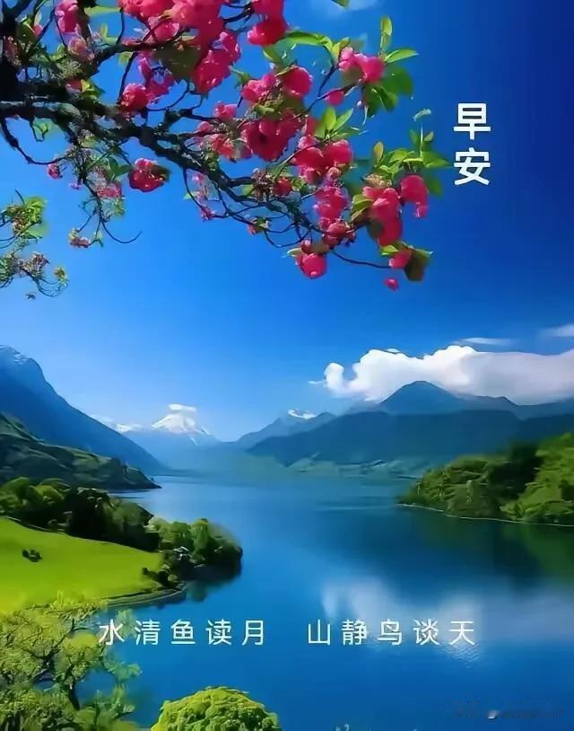 水清鱼读月，山静鸟谈天。愿日子清净，平安相伴，早安！