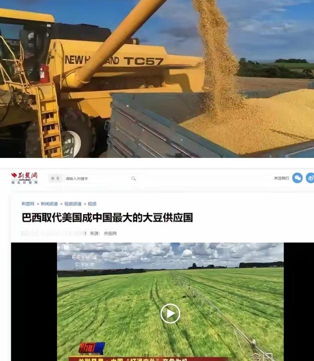 刚花 11 亿从巴西买 240 万吨大豆，美国农民这下酸麻了

最近，中国从巴西