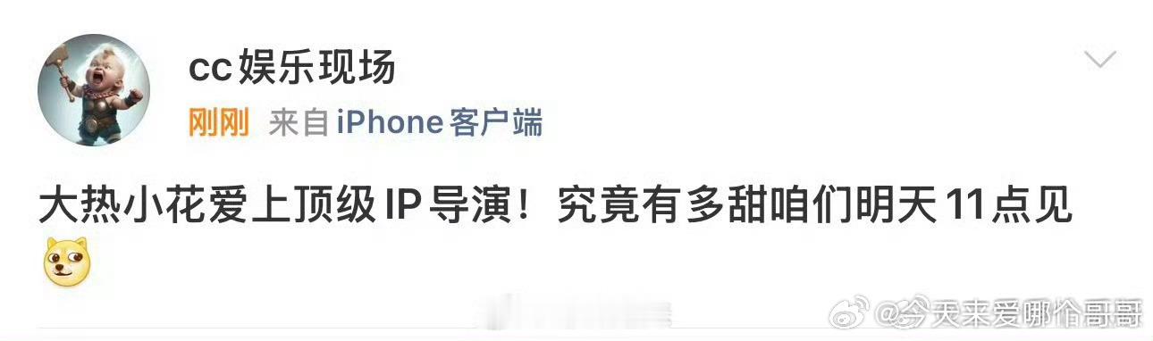 内娱还有顶级IP导演？ 
