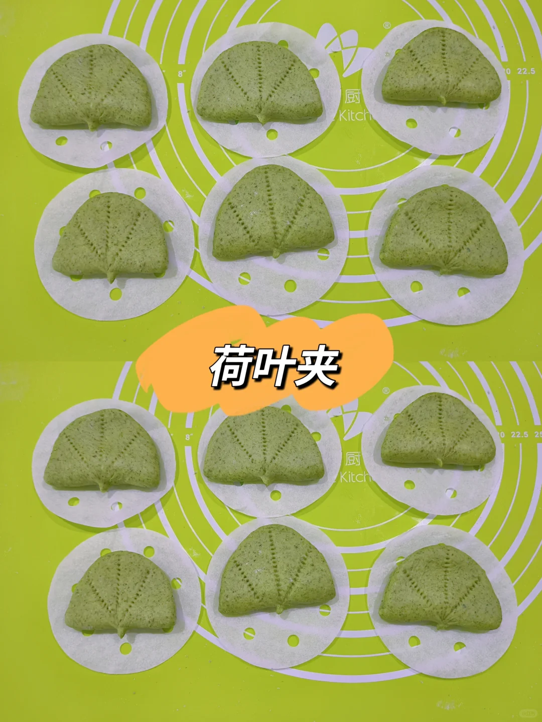 清新荷叶夹