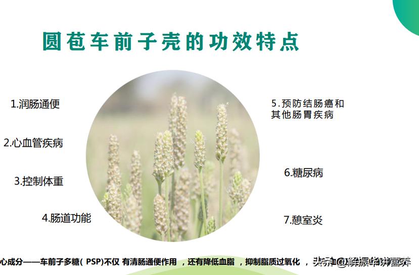 膳食纤维对糖尿病

针对II型糖尿病患者的极高水平膳食纤维摄入方案

完整来源：