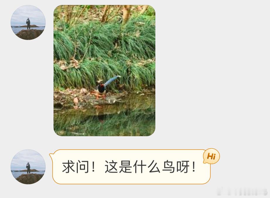 填空题环节～嘴巴红色，身体蓝色 所以 它叫（ ）嘴（ ）鹊！ ​​​