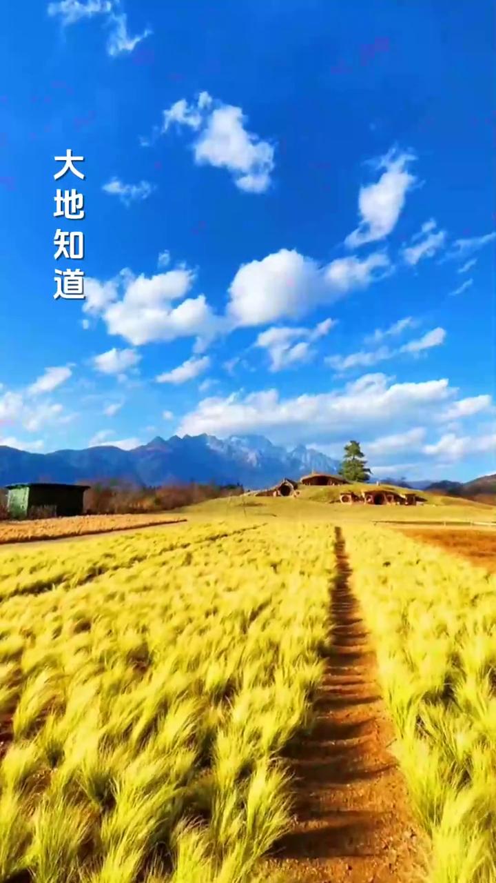 同一首歌。
演唱者：杨烁。
制片人：芙蓉传媒。
鲜花曾告诉我你怎样走过，大地知道