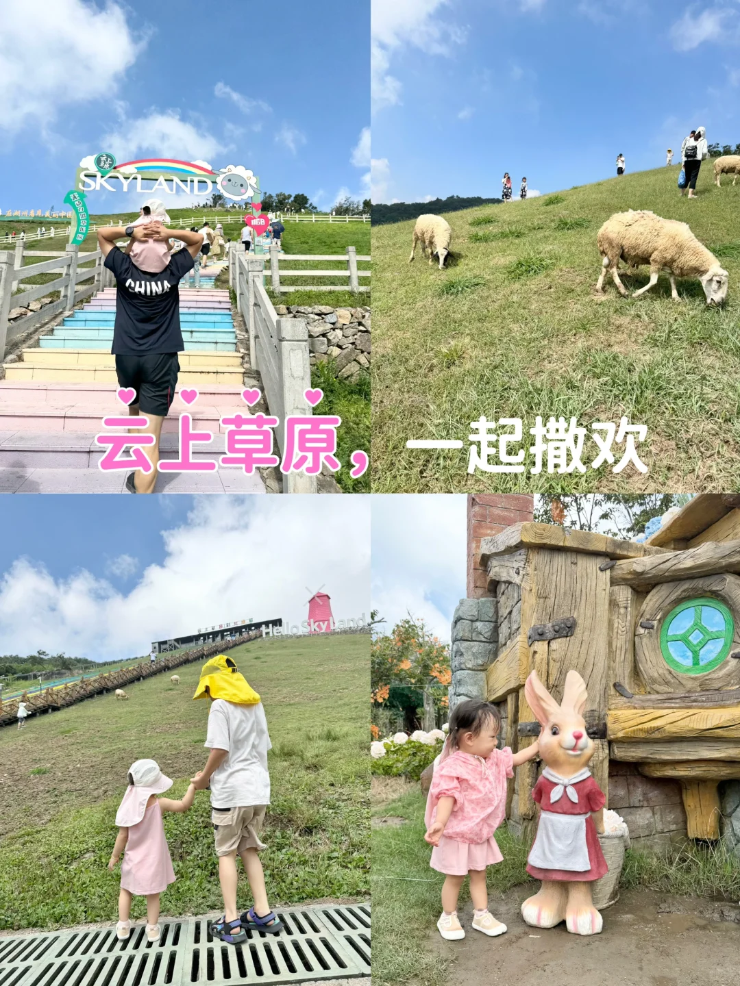 暑假结束前去趟云上草原撒欢，真的太凉快了！