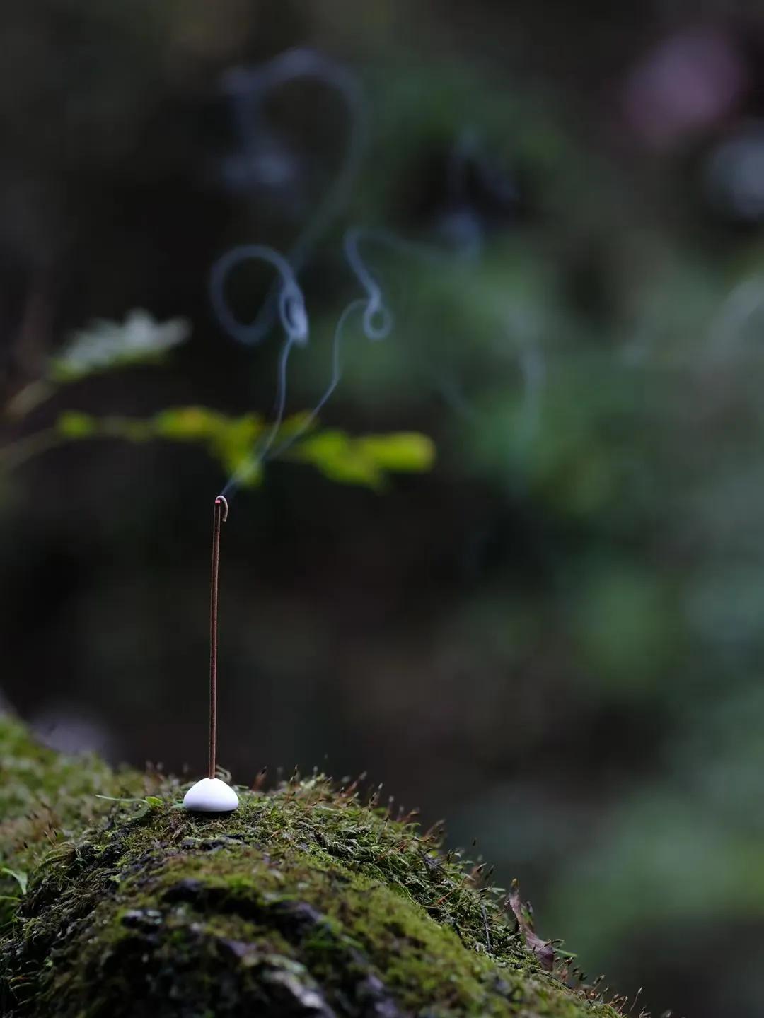 有一句话说的很好：真正好的关系，不是雪中送炭，而是你本为炭，我原为火，相燃时不问