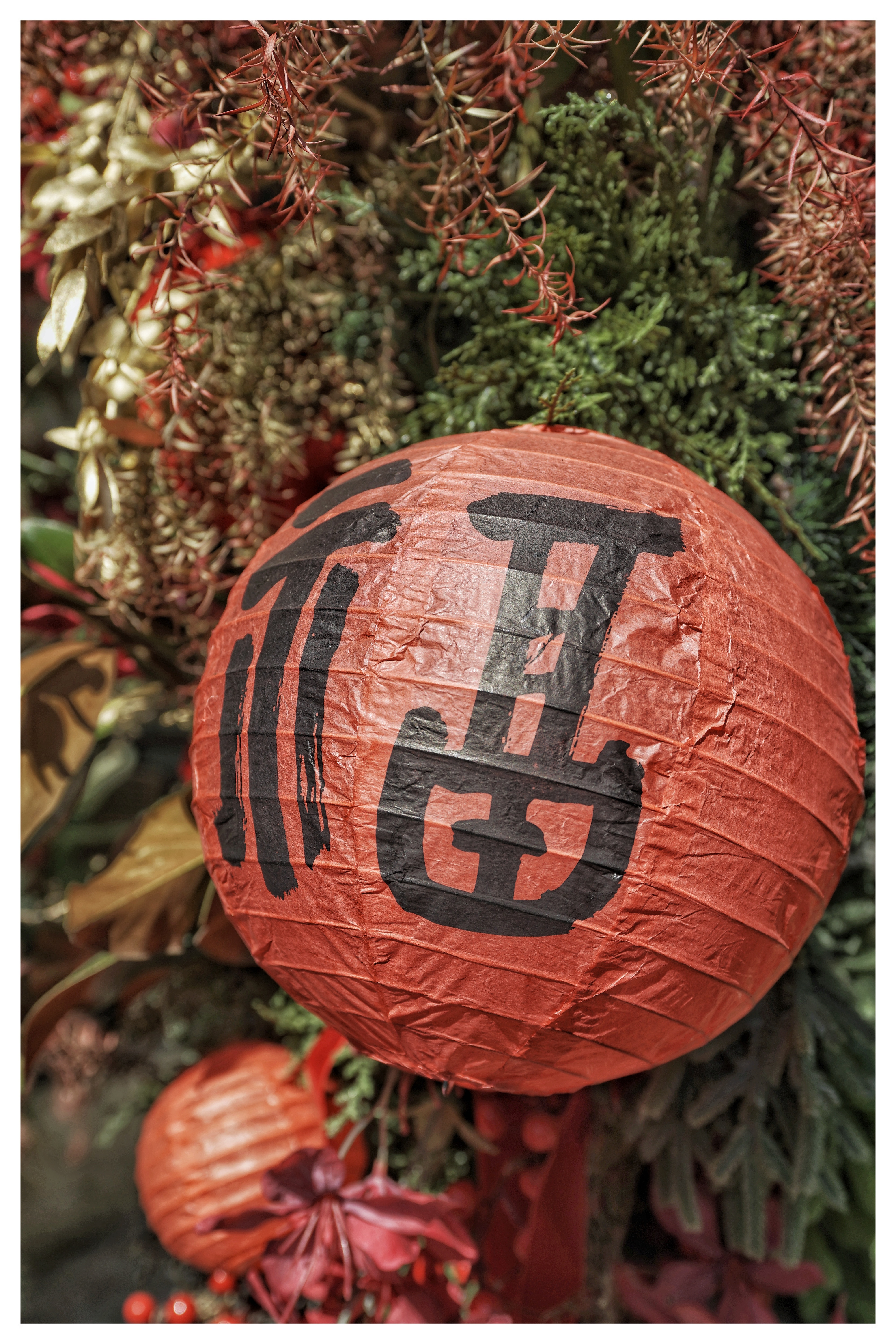 1982年市政府牵头办花市，初衷是丰富市民、港澳台同胞与归侨的节日生活，同时宣传