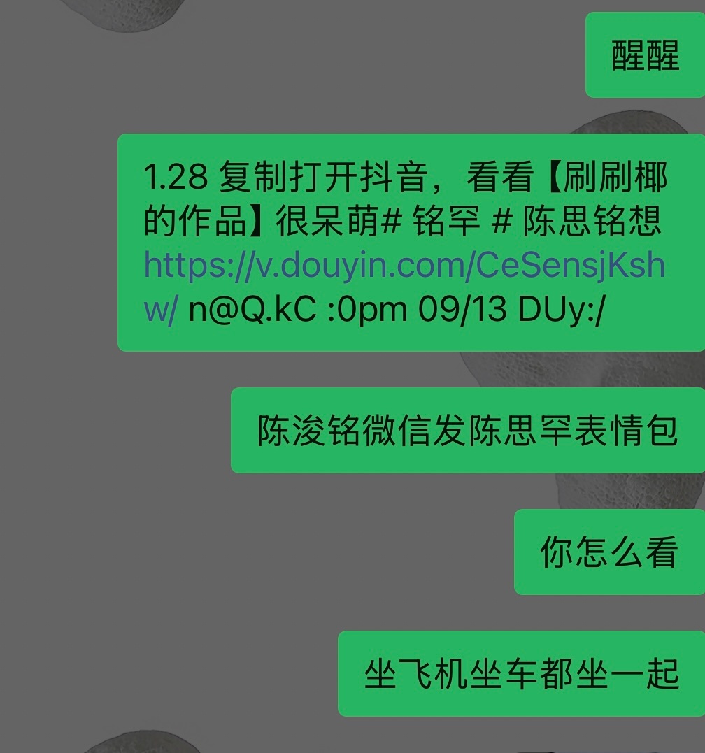 铭罕就这样两个早恋小萌宝 