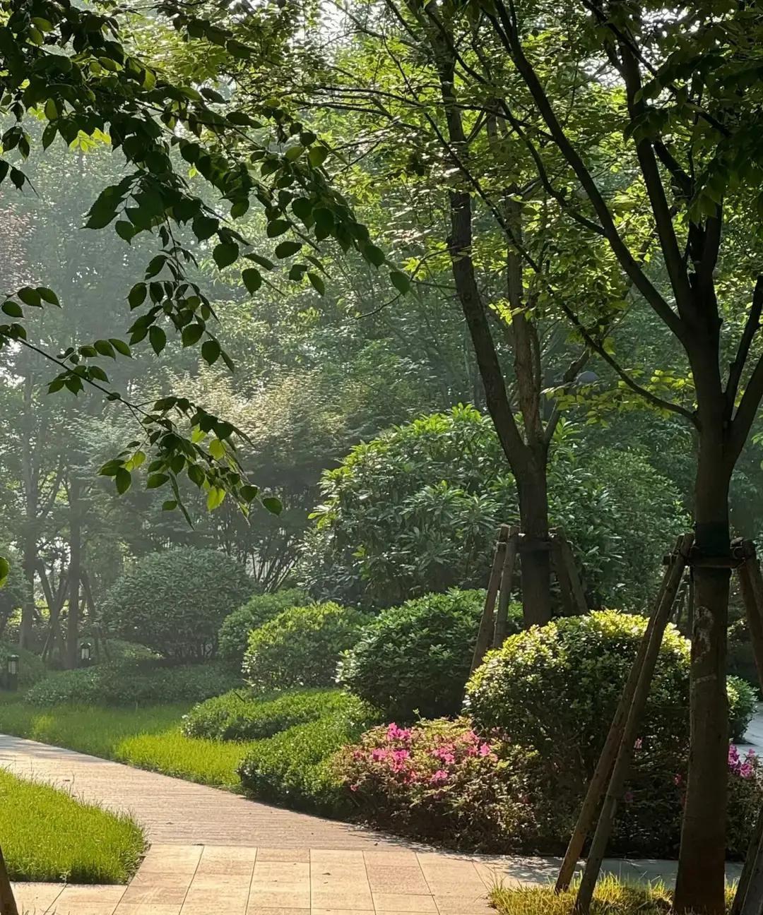 王曼昱WTT重庆冠军赛女单封后，48小时连签两大品牌，旗舰店火速换上她的海报。