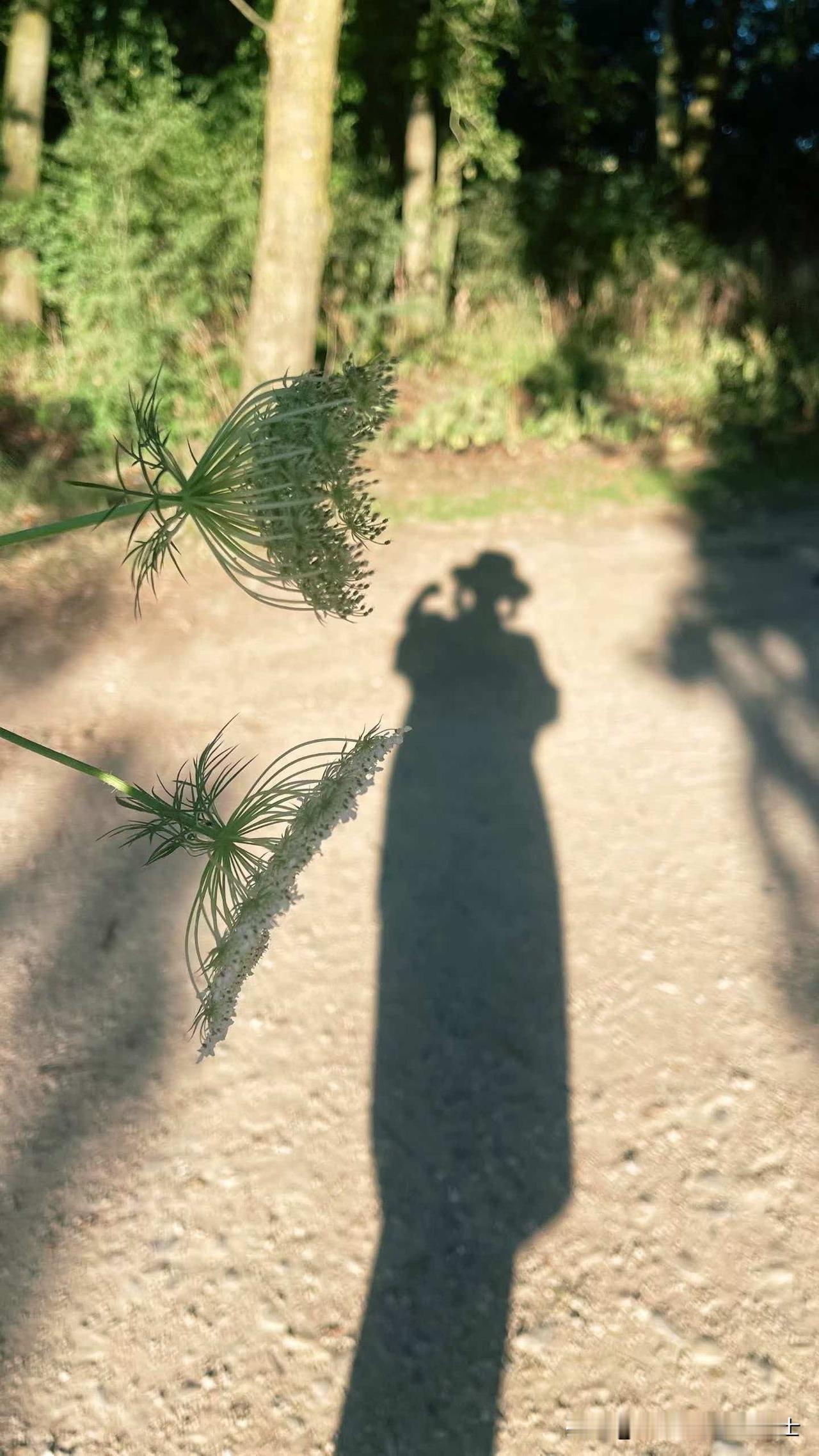 朋友把离婚后的女同学带到自己家里住，结果女同学和她老公好上了。

这样狗血的事件