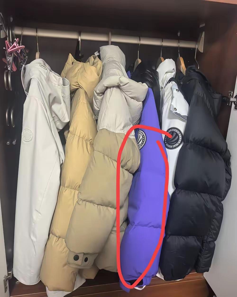 晚上下班回到家，我习惯性地去衣柜里拿衣服换，结果发现挂在最里面的那件紫色长款羽绒