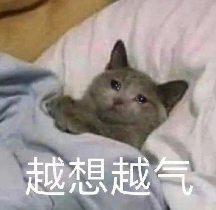 狮子座很喜欢把“我没事挂在嘴边”，可实际上论起深夜emo，狮子座比双鱼座还有过之