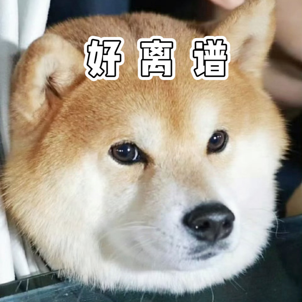 居然上不了广场！！！还是要发！！！碧血蝉！！！看到这张图…真的好离谱！！！请问呢