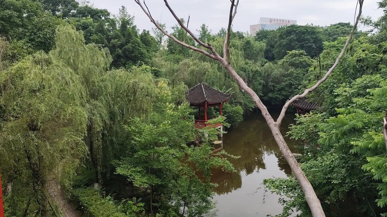 晒图笔记大赛公园风景欣赏！绿意葱葱的风景和亭台楼阁的交相辉映的景象！分享一下拍摄
