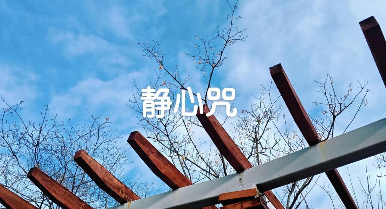  抬头皆是蔚蓝，心事慢慢释怀，日子清净，抬头温柔静心咒 风景随写 记录身边的自然