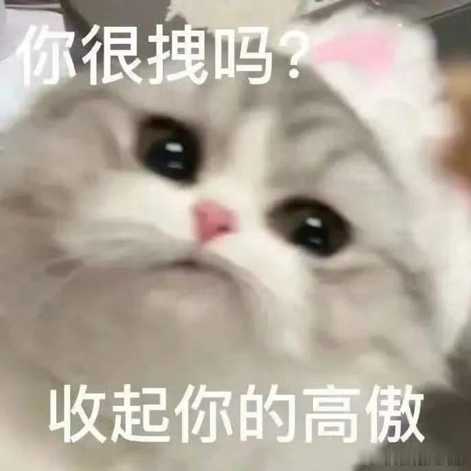 大学生的恩格尔系数拉满了 恩格尔系数拉满，其实是我们在高压学业下，给自己找的最平