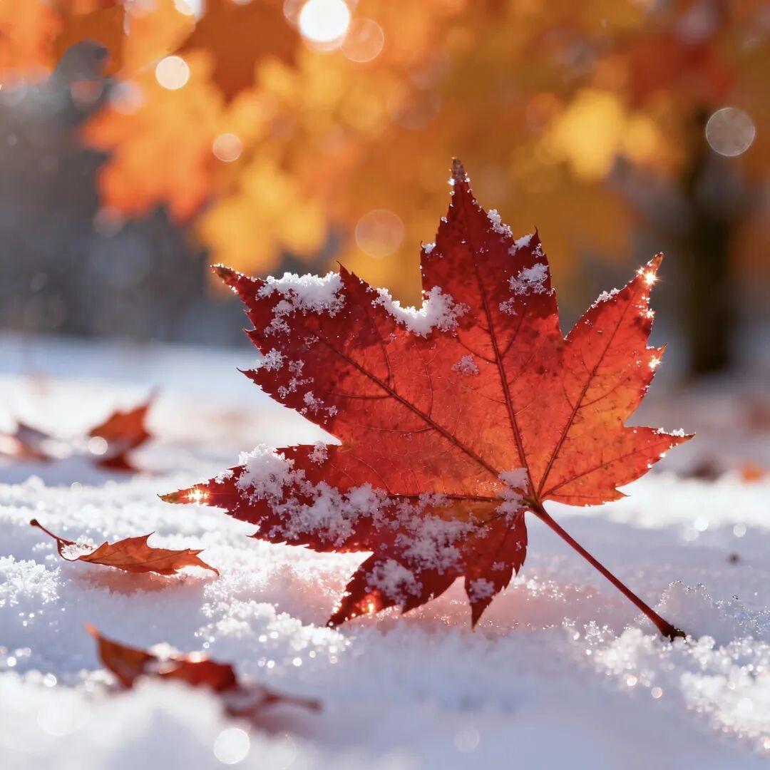 心小了，所有的小事就大了；
心大了，所有的大事都小了。
看淡世事沧桑，内心安然无