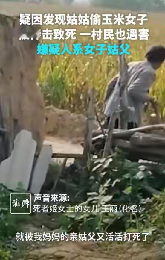 玉米地旁的血案！亲姑姑偷玉米，姑父竟下杀手，连邻居都不放过
 
这不是杜撰的刑侦