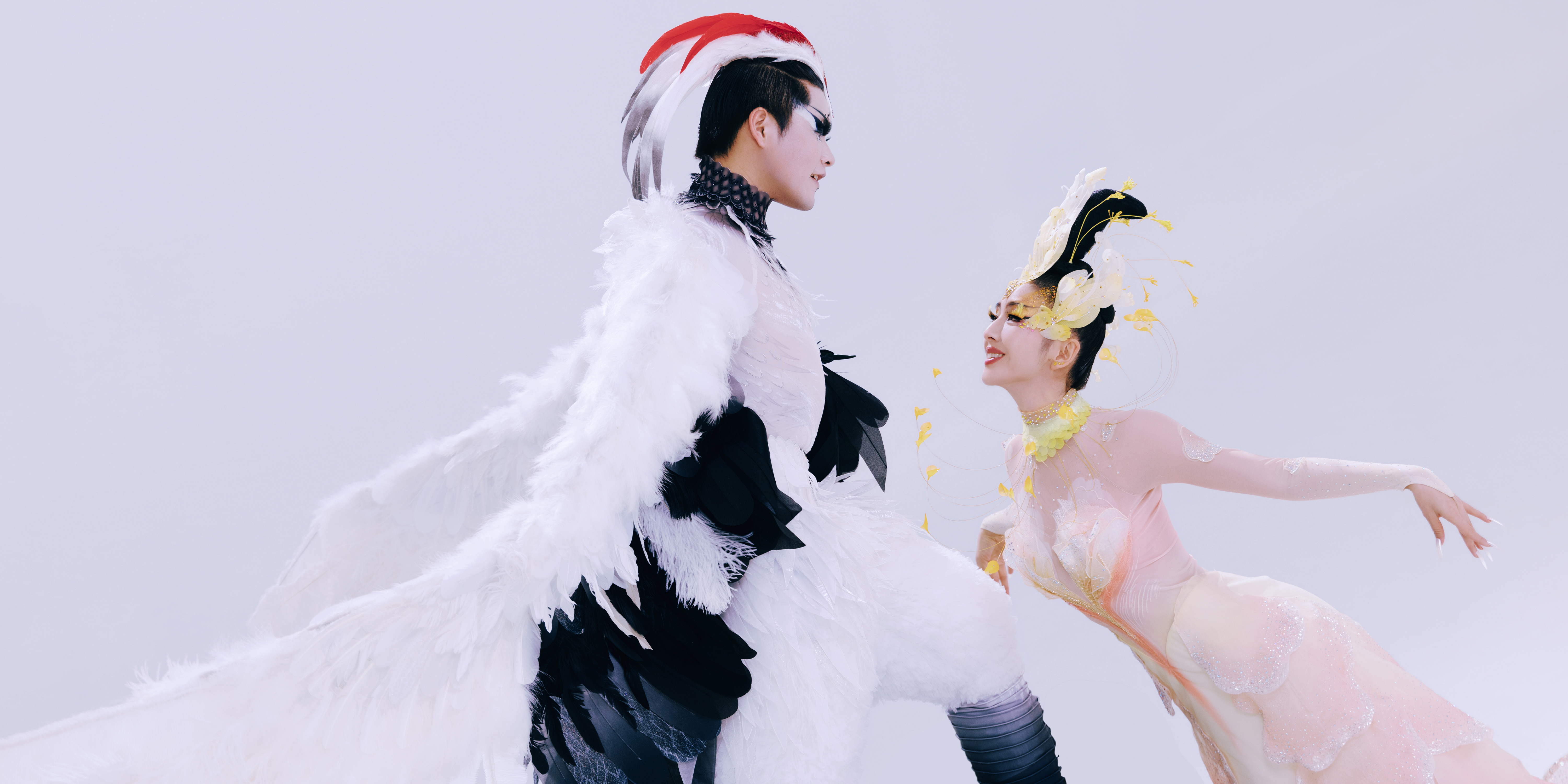 你好佟丽娅晚安