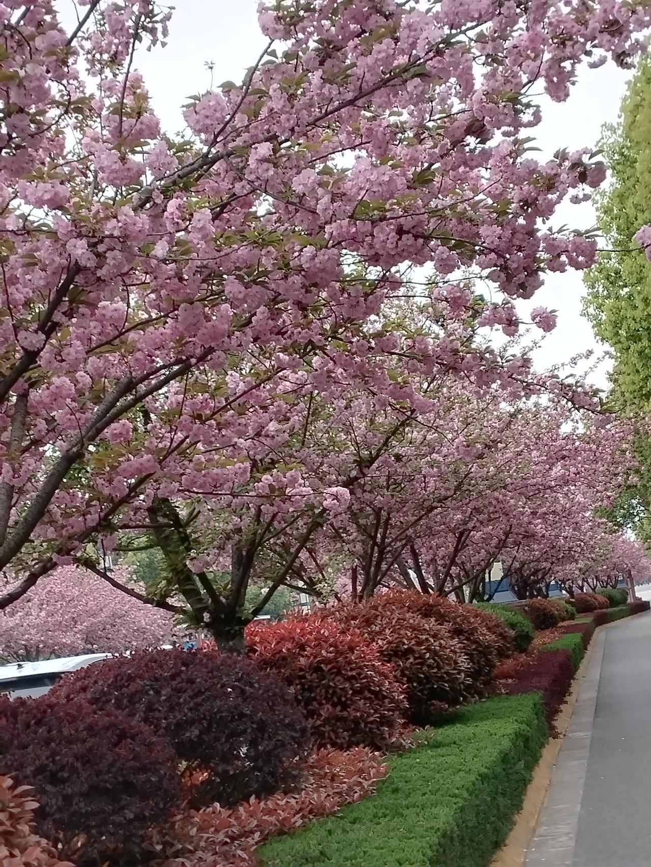 好的，我们先分析上联：

上联：琴棋书画门门晓

词意解析：

“琴棋书画”四艺