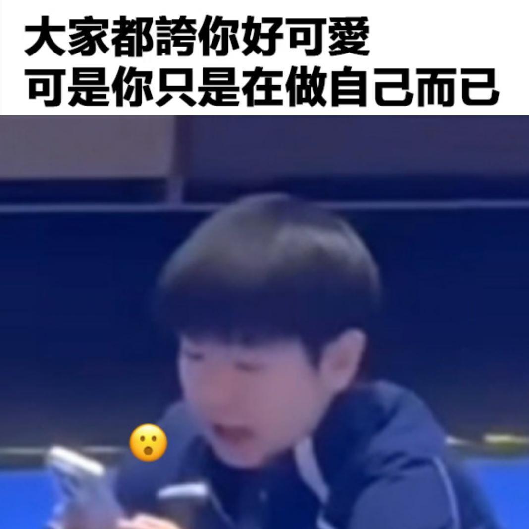 小考莎猫  晚安😴 
