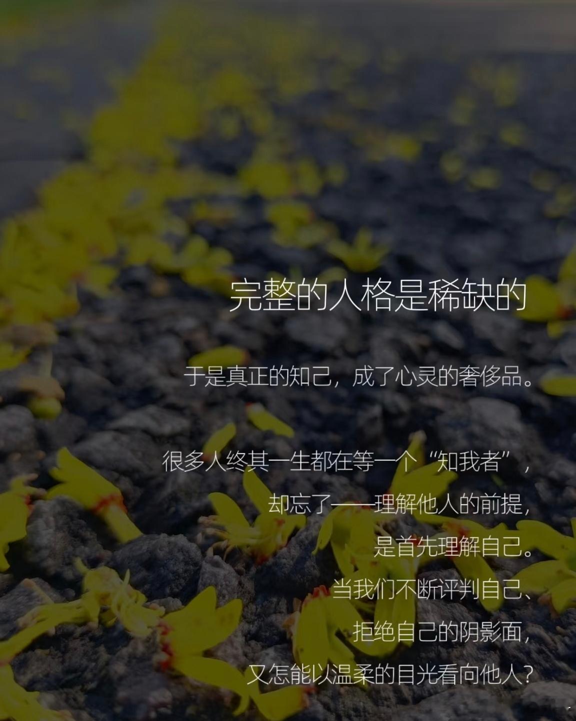 我们各自忙碌，却互相牵挂；不用刻意想起，因为从未忘记。 