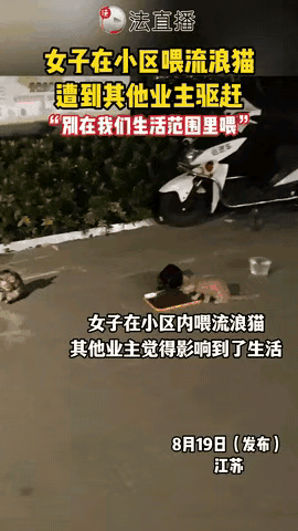 江苏某小区内，有一位爱心女士因投喂流浪猫遭到其他业主强烈反对，双方发生激烈争执，