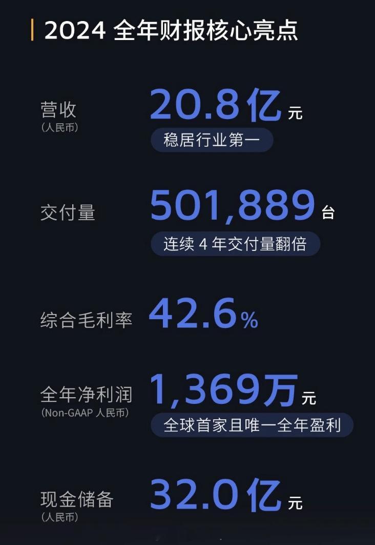 禾赛科技2024 年第四季度及全年未经审计财务数据：2024 年实现全年营收 2