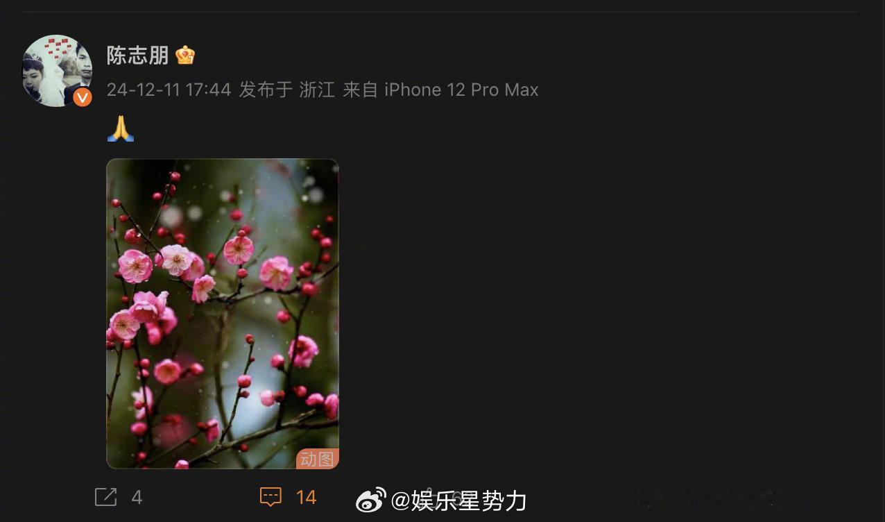 陈志朋发雪中梅花悼念琼瑶  11日 琼瑶今日花葬  晒了雪中梅花悼念琼瑶[蜡烛]