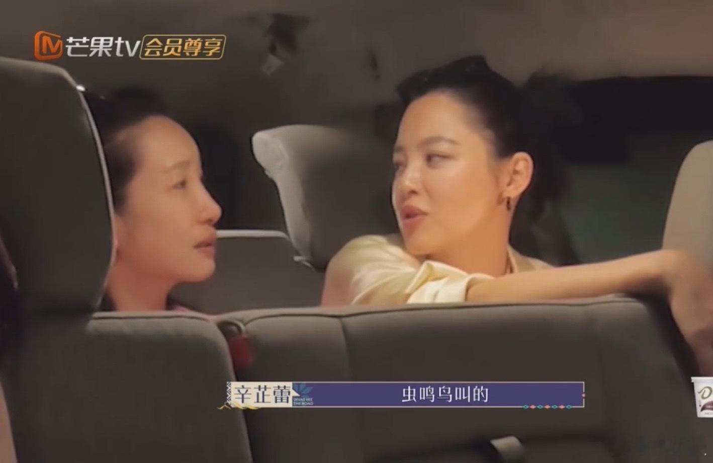 海璐姐快来看辛芷蕾这样露营发现辛芷蕾露营双标现场！跟海璐姐科普的是岁月静好，新剧