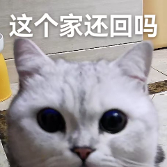 我的ss👇🏻 