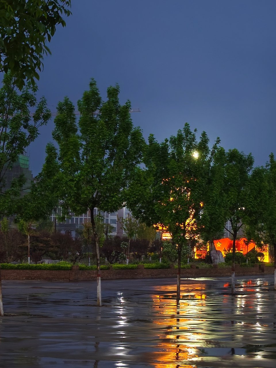 雨夜🌧️ 