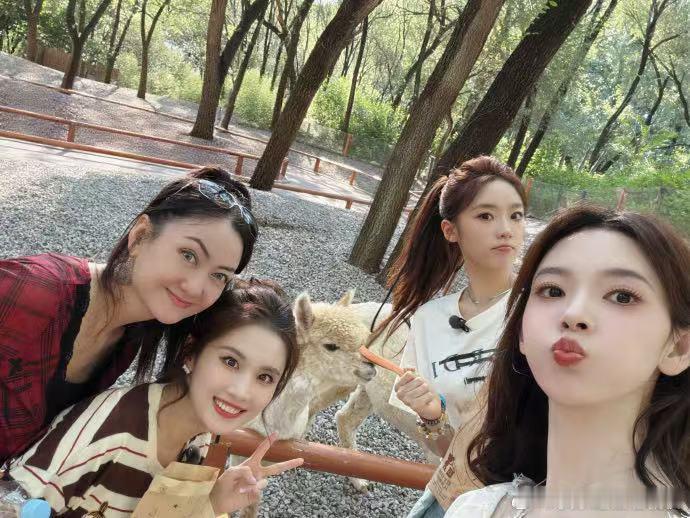 我家那闺女 四小羊团建羊村组合梦幻合体！四位姐妹相聚《我家那闺女》，逛动物园打卡