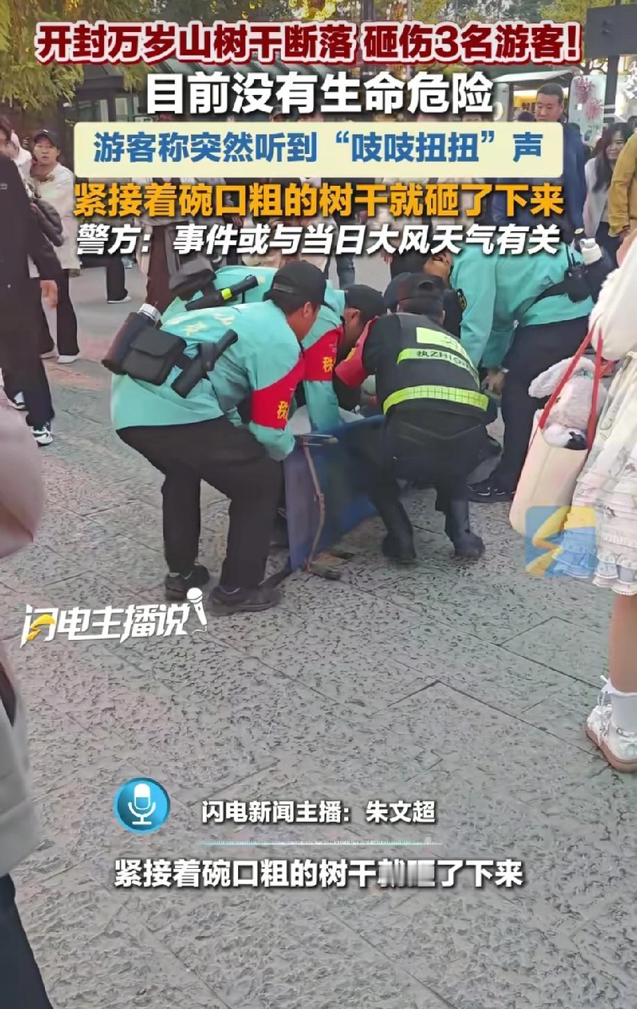 突发！河南万岁山树枝突然断裂，砸伤3名游客，目前游客已被送医，断裂的树枝有碗口那