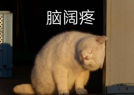 看看头哪里痛？辨别你是哪个部位的头痛
 
1、整个头痛——归属于脾
 
2、前额