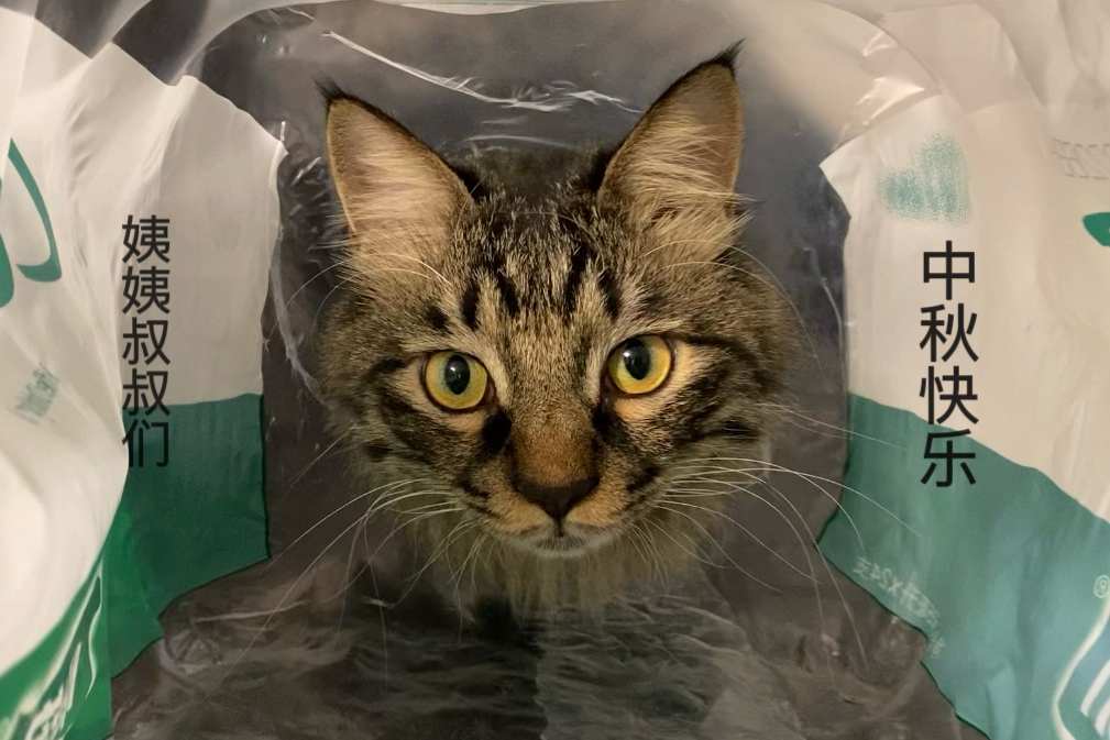 中秋快乐  分享几张妈妈拍的我[月亮代表我的心] ​​​