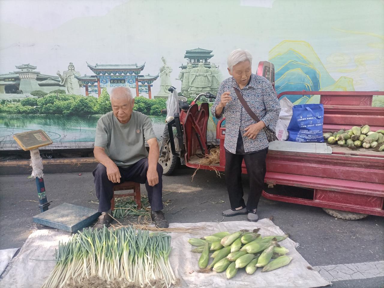 【人世间·人生不可安闲】夏日生活打卡季
人生不可安闲，
有恒业，才足收放心。
—