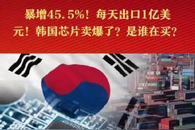 韩国芯片卖疯了，科技新风口要来了？
哎呀，2024年科技圈可是炸开了锅，为啥呢？