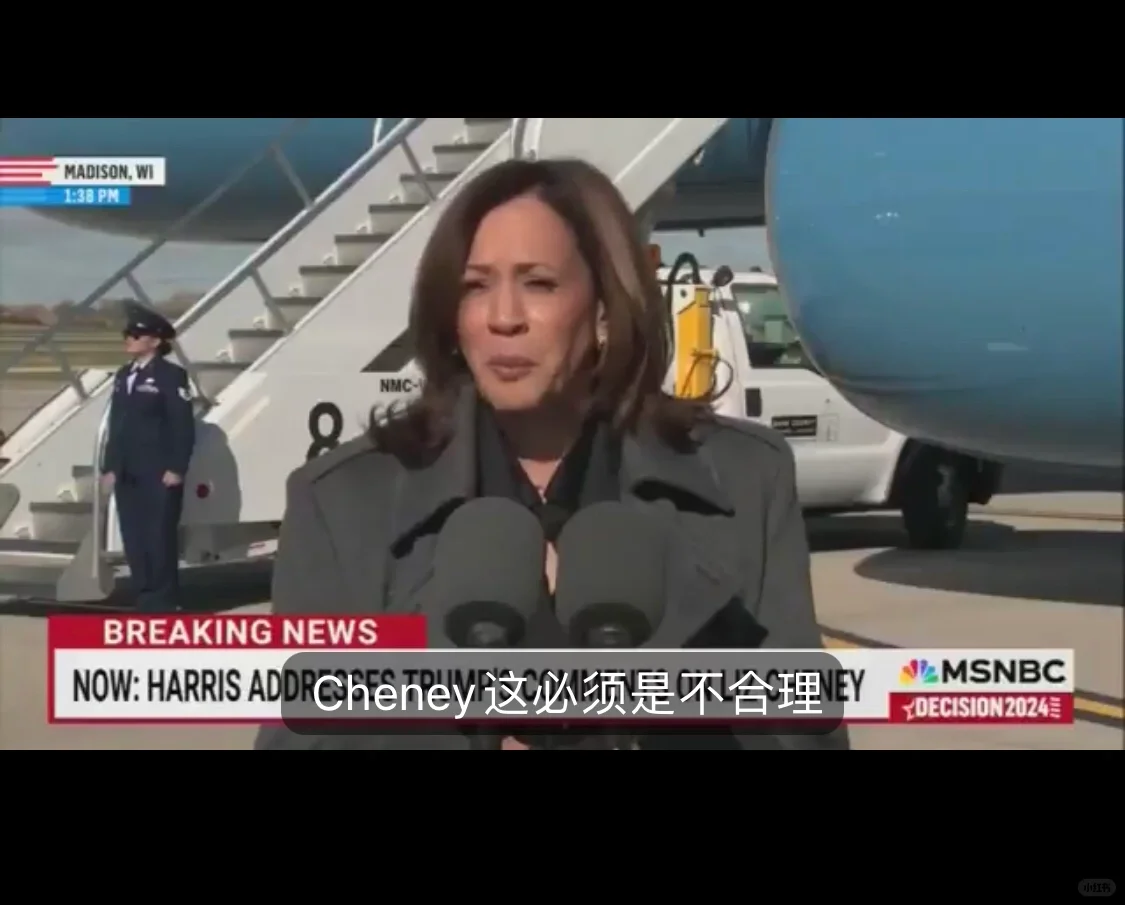 川普胜选最燃历史时刻： 1⃣3⃣ 哈里斯竞选团队决定将她的命运与对利兹...