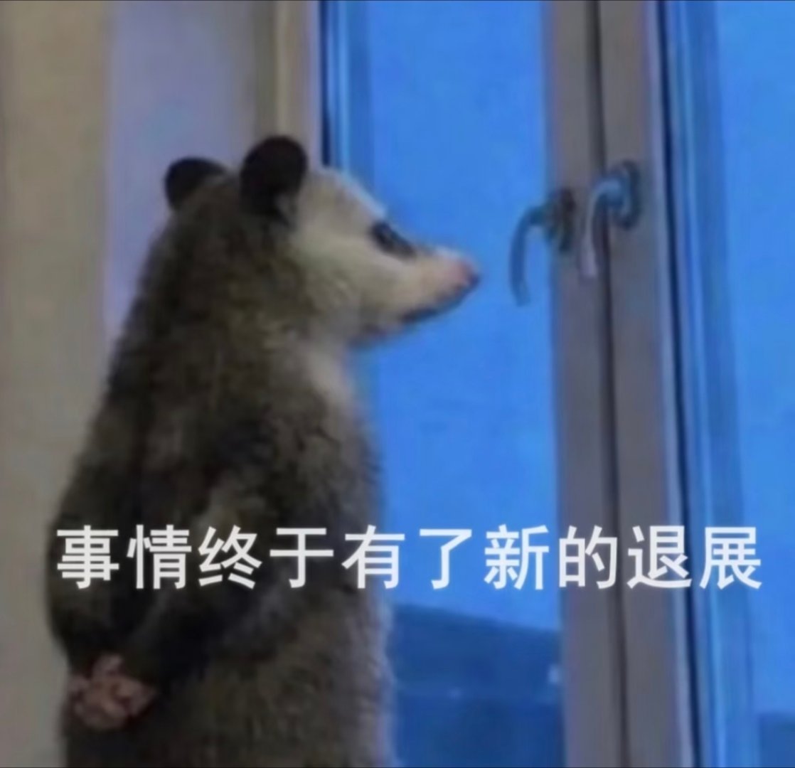 那个太阳雨的物料每次都给我一种我是个老鼠我是个小偷我从管中一窥学生时代就憧憬的白