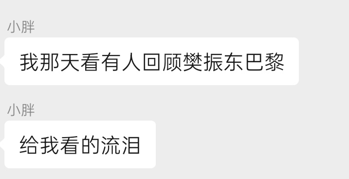 同事说，回看樊振东的巴黎，看的流泪。每当遇到困难的时候，想想那个时刻的他，承受了