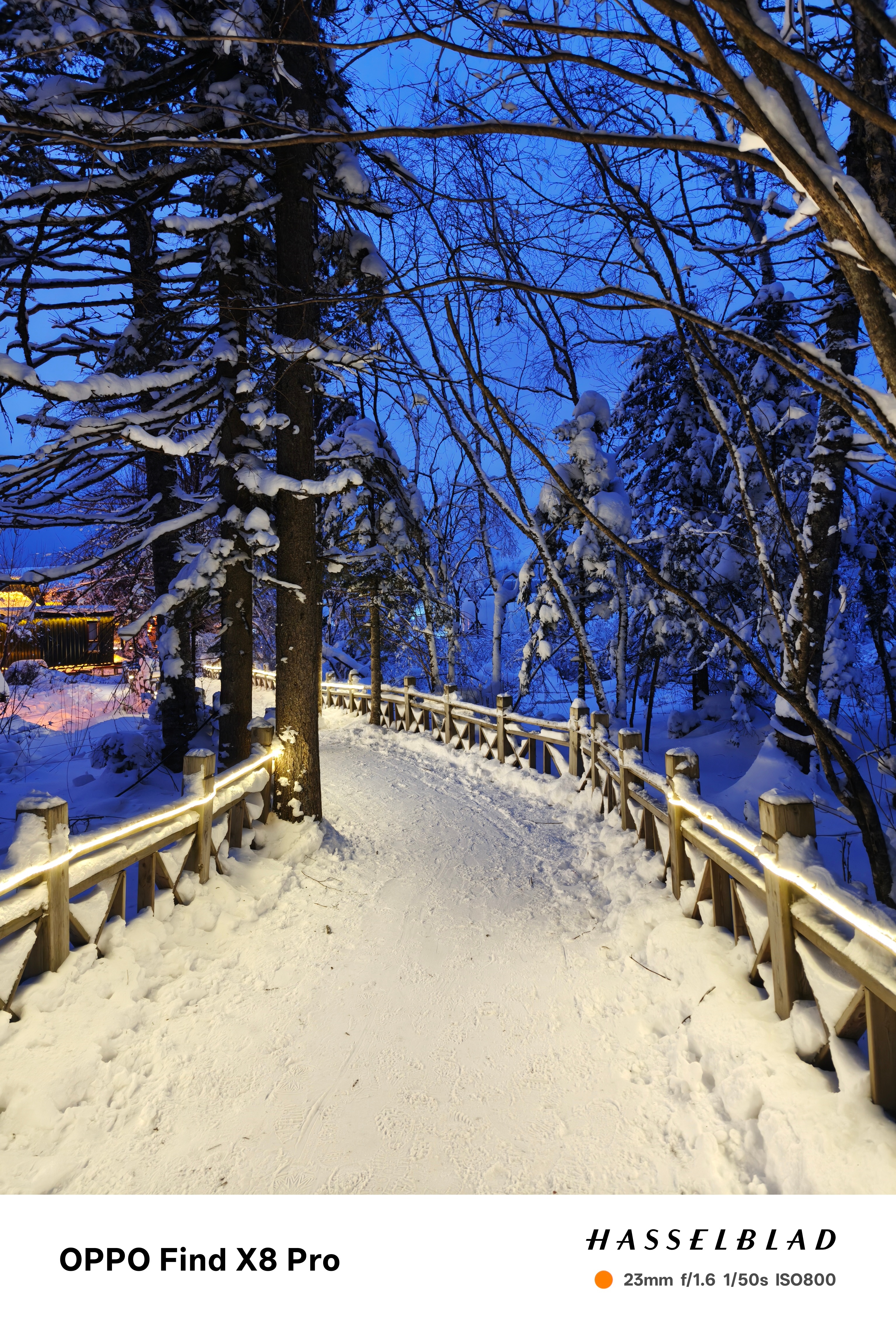 老里克湖的景色太美了！  