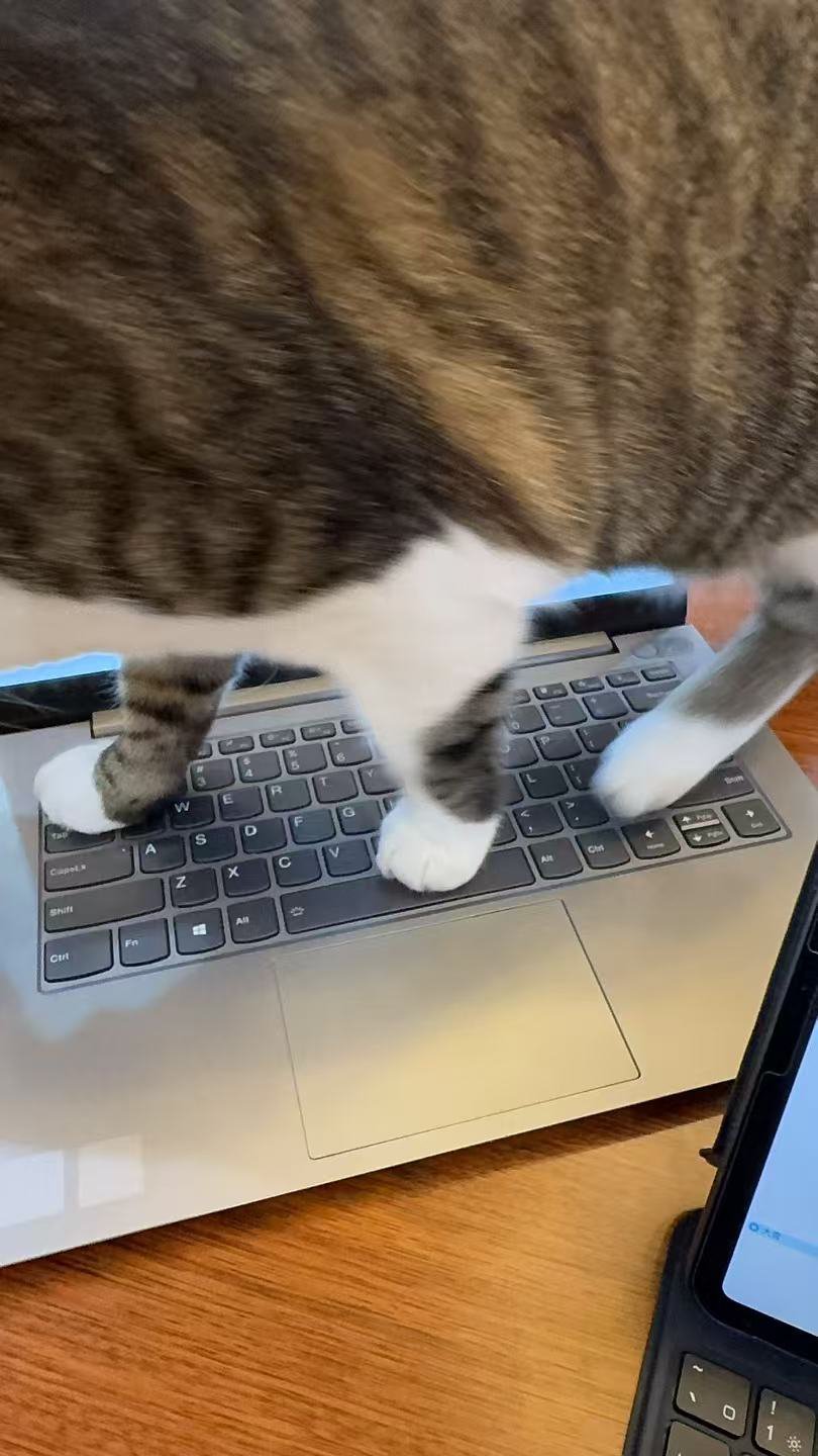 签到签到签到签到又出去玩了嘿嘿                         