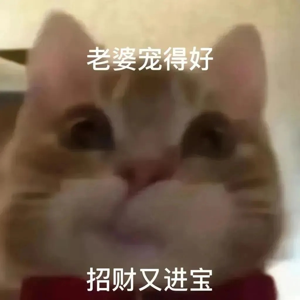 猫咪撒娇八连拍 ​​​